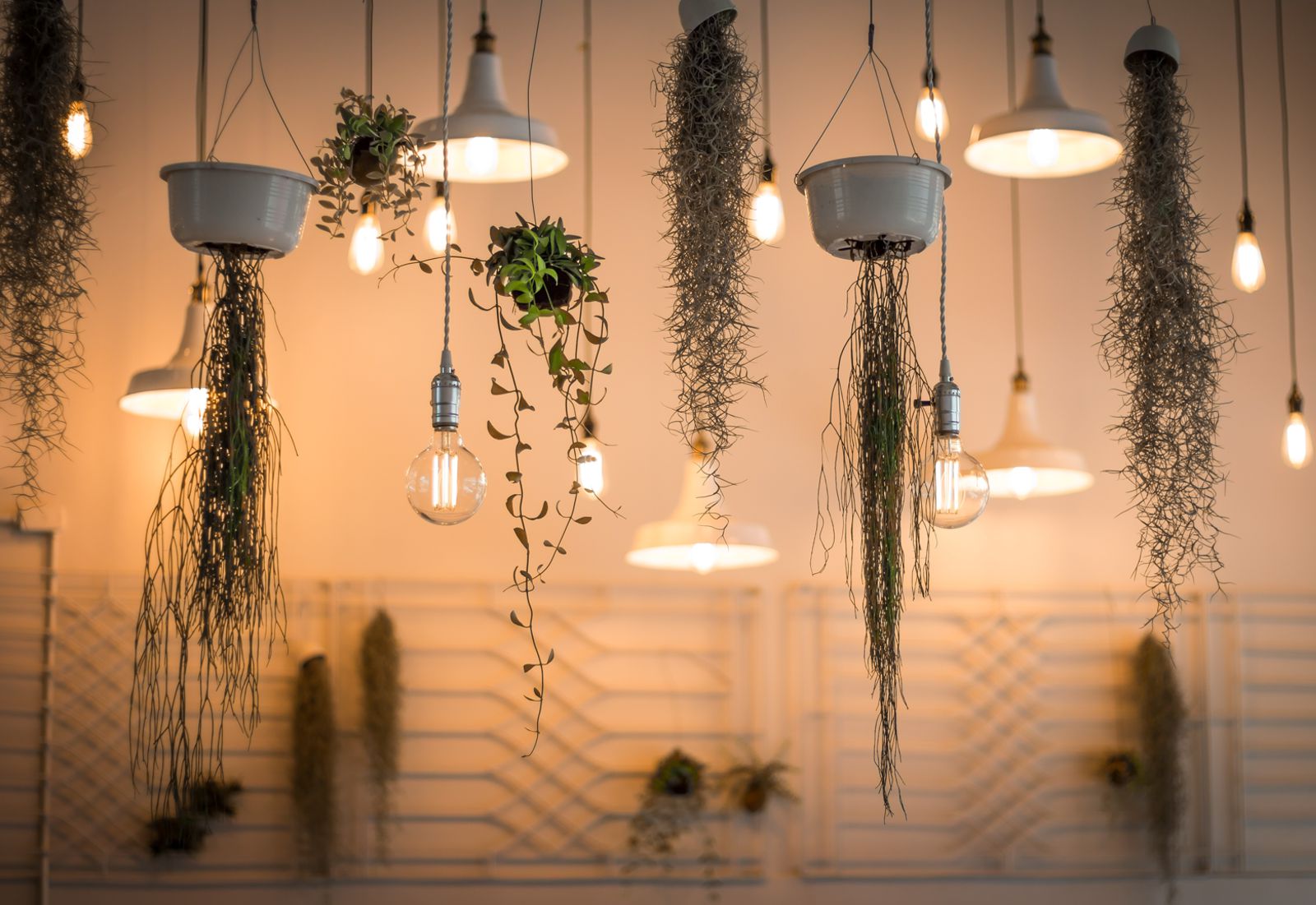 Decoração combinação de luminárias e plantas